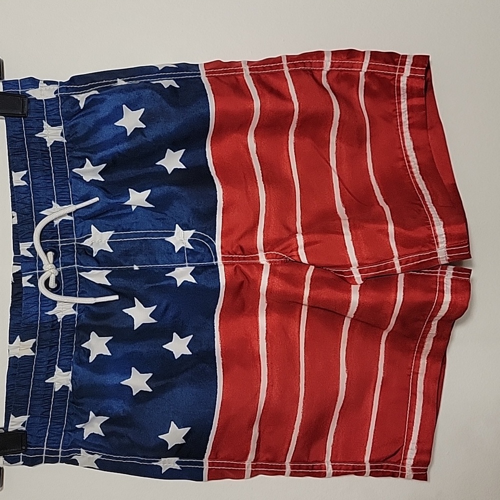 (2) Old Navy Tag You're It Boys Swim Trunks Sizes L (10-12)